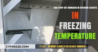 Protecting Belongings: Freezing Temperatures and Outdoor Closet Storage Risks