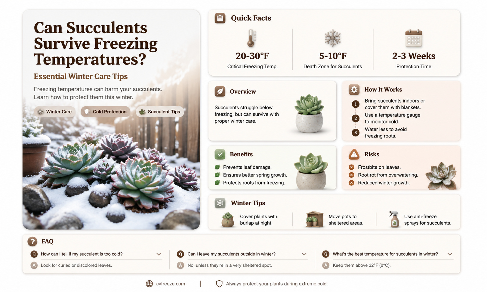 can succulents survive freezing temperatures