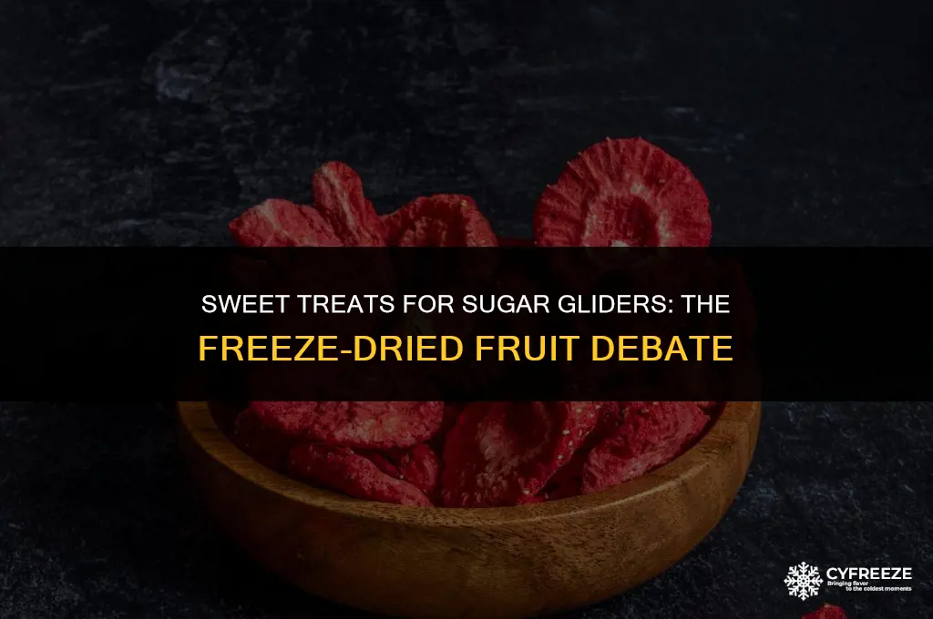 can sugar gliders eat freeze dried fruit