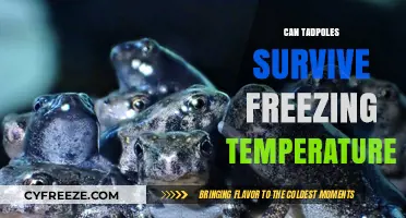 Tadpoles and Frost: Can They Survive Winter's Chill?