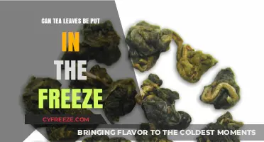 Exploring the Chill: Can Tea Leaves Be Frozen?