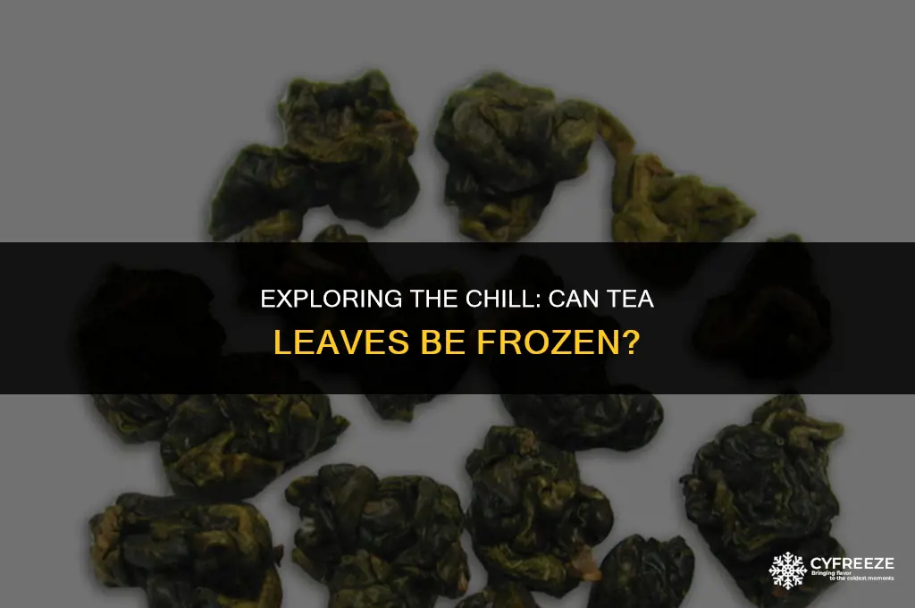 can tea leaves be put in the freeze