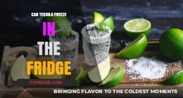 Chill or Not: The Truth About Freezing Tequila