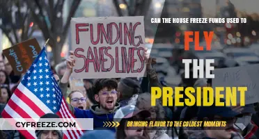 Can Congress Legally Freeze Funds for Presidential Travel?