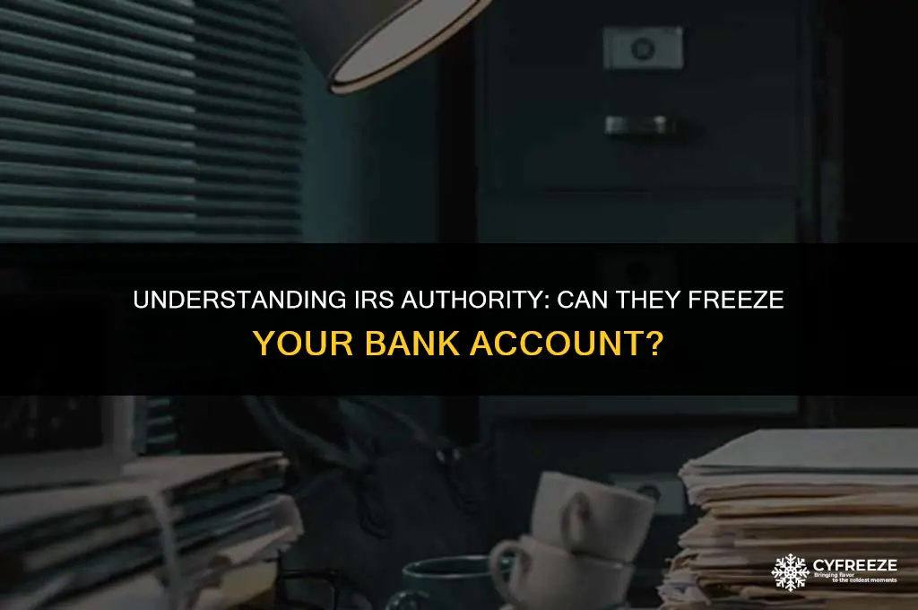 can the irs put a freeze on my bank account