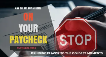 Can the IRS Freeze Your Paycheck? Understanding Wage Garnishments