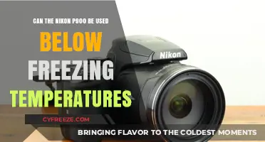 Nikon P900 Performance in Freezing Temperatures: What You Need to Know