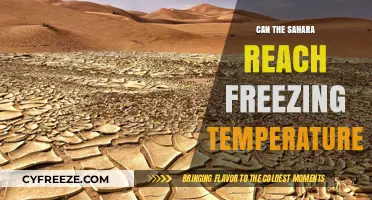 Can the Sahara Desert Experience Freezing Temperatures at Night?