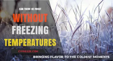Frost Without Freezing: Exploring the Science Behind Sub-Zero Surprises