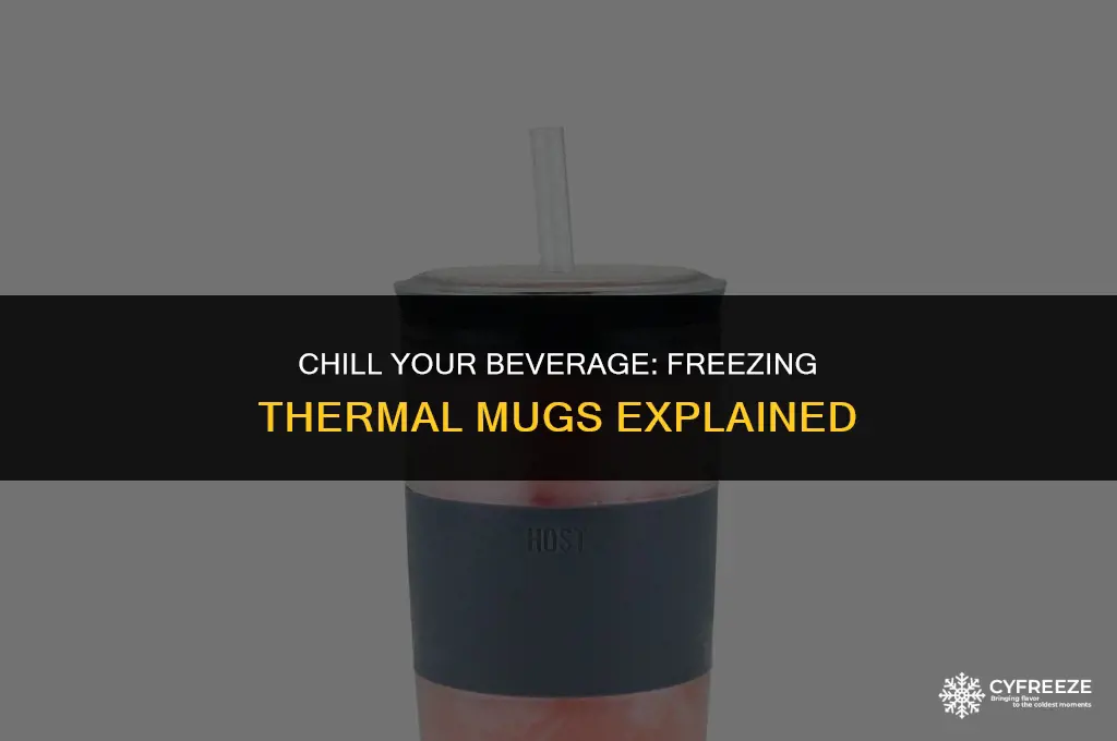 can thermal mugs be put in the freezer