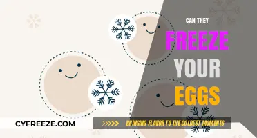 Can They Freeze Your Eggs? Understanding the Process and Possibilities