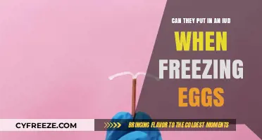 Egg Freezing and IUDs: Exploring Options for Fertility Preservation