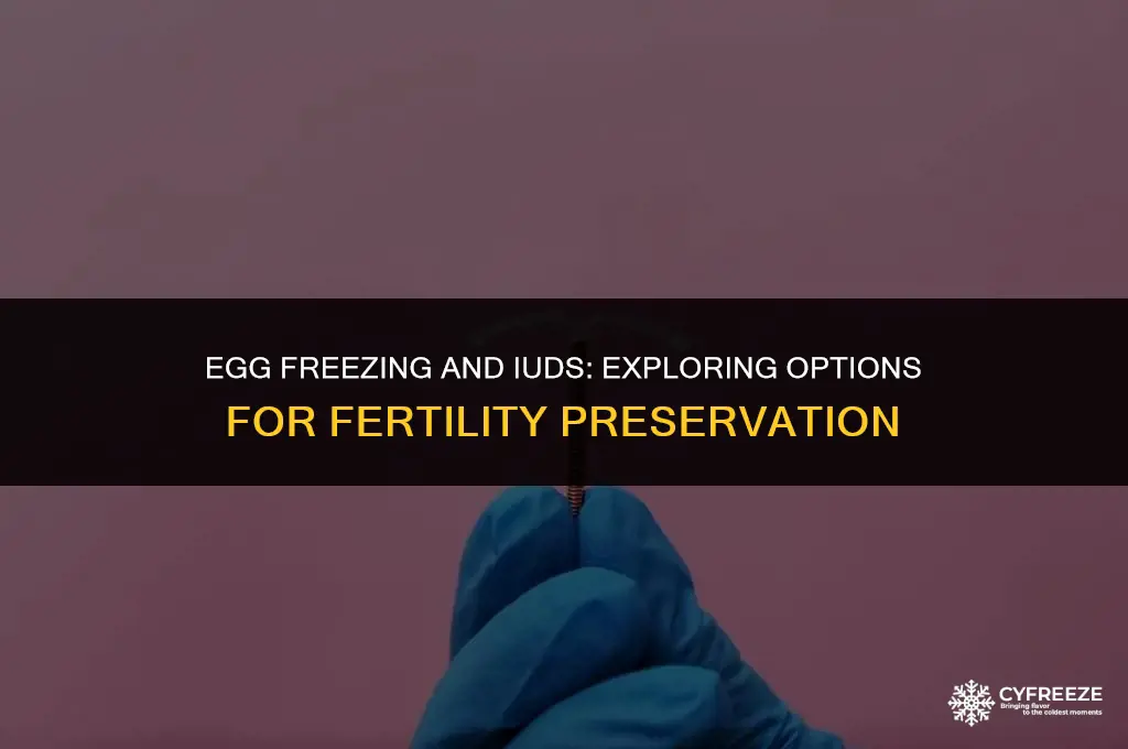can they put in an iud when freezing eggs