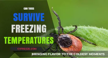 Can Ticks Survive Freezing Temperatures? Uncovering Winter Survival Secrets