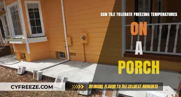 Can Porch Tiles Withstand Freezing Temperatures? A Durability Guide