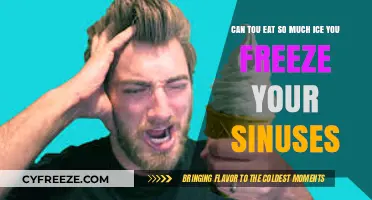 Chilling Truth: Can Eating Too Much Ice Freeze Your Sinuses?