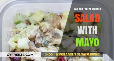 Can You Freeze Chicken Salad with Mayo: A Complete Guide