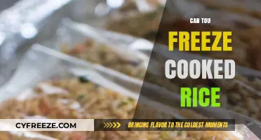 Exploring the Do's and Don'ts: Can You Freeze Cooked Rice?