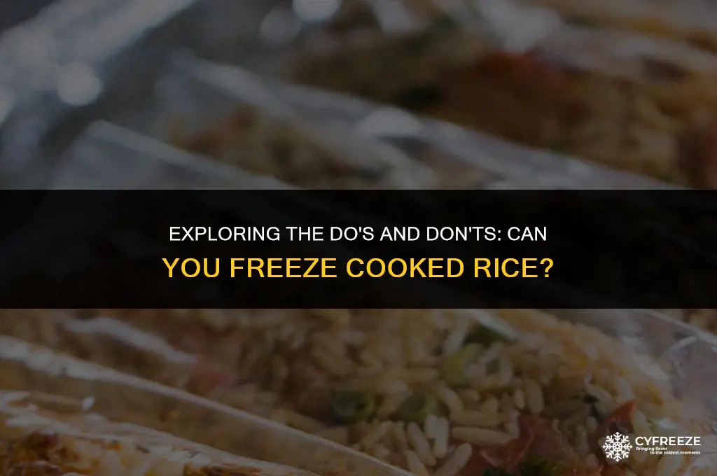 can tou freeze cooked rice