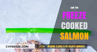 Savoring Freshness: The Ultimate Guide to Freezing Cooked Salmon