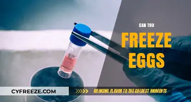 Freezing Eggs: A Complete Guide to Preserving Fertility Safely
