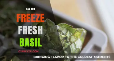 Preserve the Flavor: A Guide to Freezing Fresh Basil