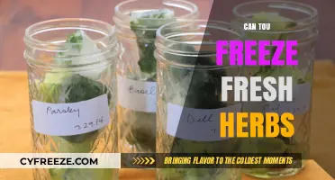 Preserve Freshness: The Ultimate Guide to Freezing Fresh Herbs
