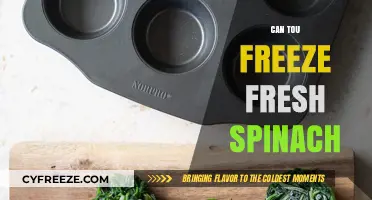 Spinach Preservation: A Guide to Freezing Fresh Spinach