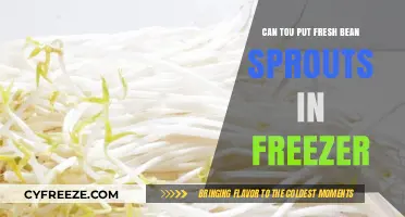 Fresh Bean Sprouts: Freezing Tips for Optimal Quality and Safety