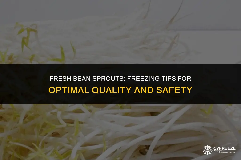 can tou put fresh bean sprouts in freezer
