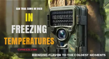 Using Trail Cams in Freezing Temperatures: Tips and Best Practices