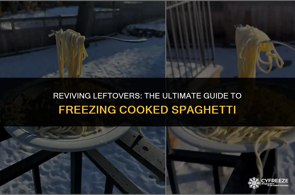 can u freeze already cooked sphagetti