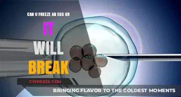 Egg-cellent Preservation: The Truth About Freezing Eggs