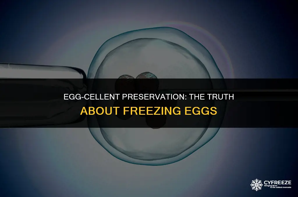 can u freeze an egg or it will break