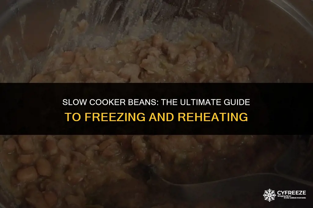 can u freeze beans cook in crock pot