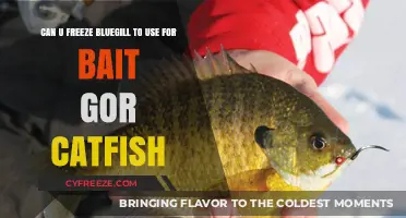 Freezing Bluegill for Catfish Bait: Tips and Best Practices