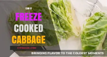 Exploring the Best Ways to Freeze Cooked Cabbage for Later Use