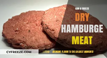 Preserving Burgers: The Ultimate Guide to Freeze-Drying Hamburger Meat