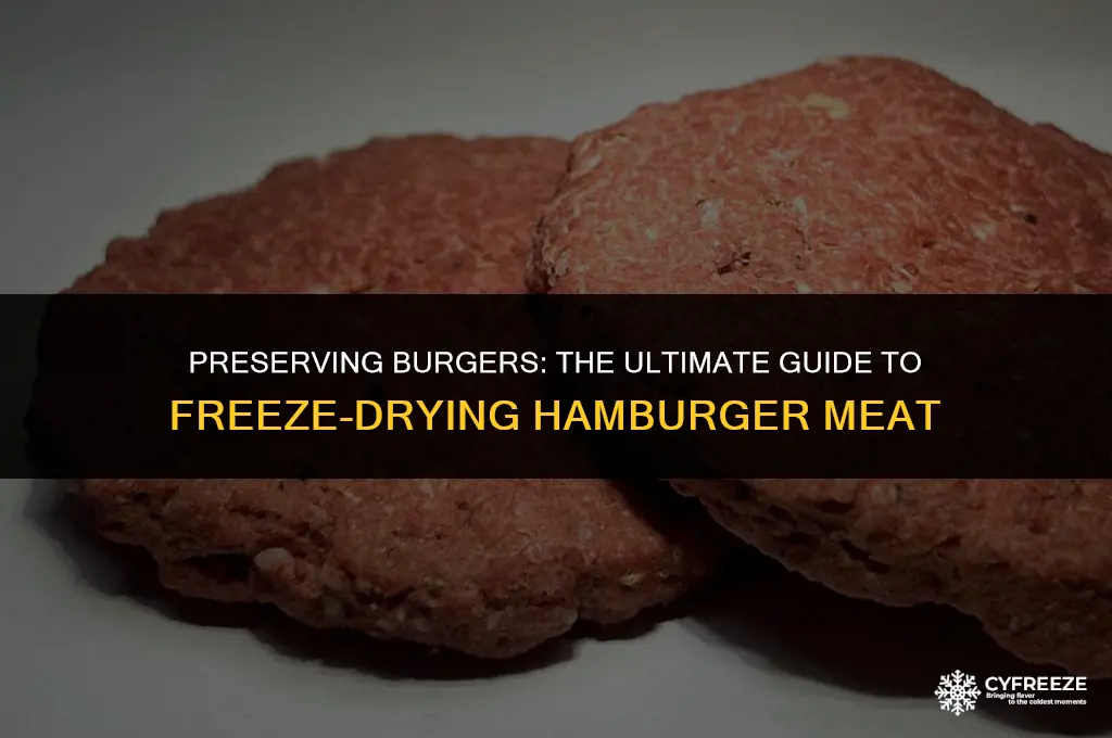 can u freeze dry hamburger meat