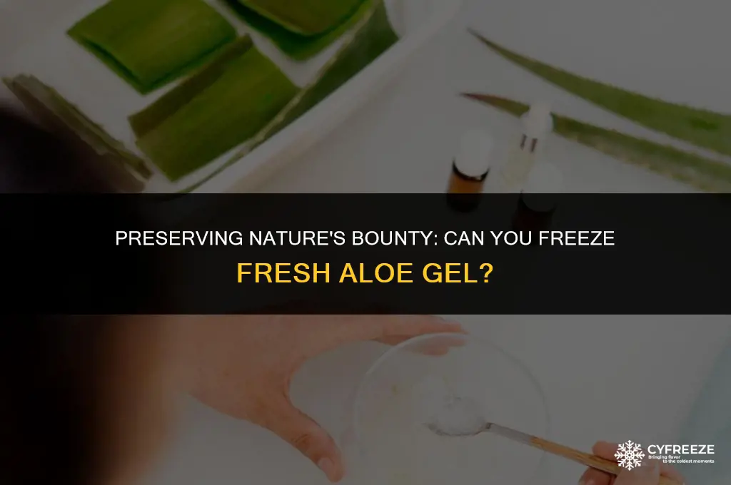 can u freeze fresh aloe gel from the plant