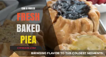 From Oven to Freezer: The Ultimate Guide to Preserving Fresh-Baked Pies