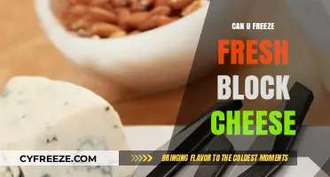 From Dairy to Deep Freeze: The Ultimate Guide to Freezing Fresh Block Cheese
