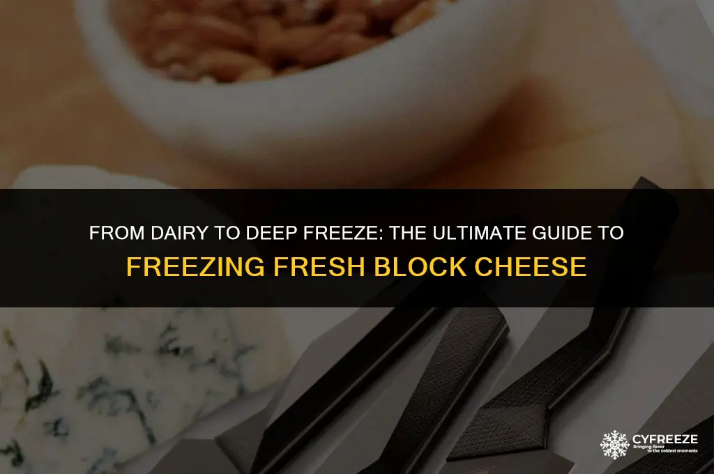 can u freeze fresh block cheese