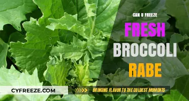 Fresh Broccoli Rabe: The Ultimate Freezing Guide