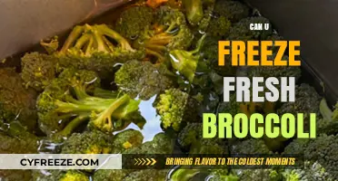 Fresh Broccoli Freezing Guide: Preserve Your Greens with Ease