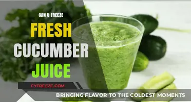 Preserve the Freshness: Can You Really Freeze Cucumber Juice?