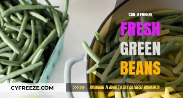 Fresh Green Beans: The Ultimate Freezing Guide for Gardeners