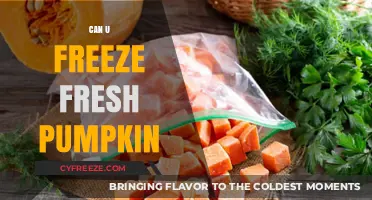 From Garden to Freezer: The Ultimate Guide to Preserving Fresh Pumpkin