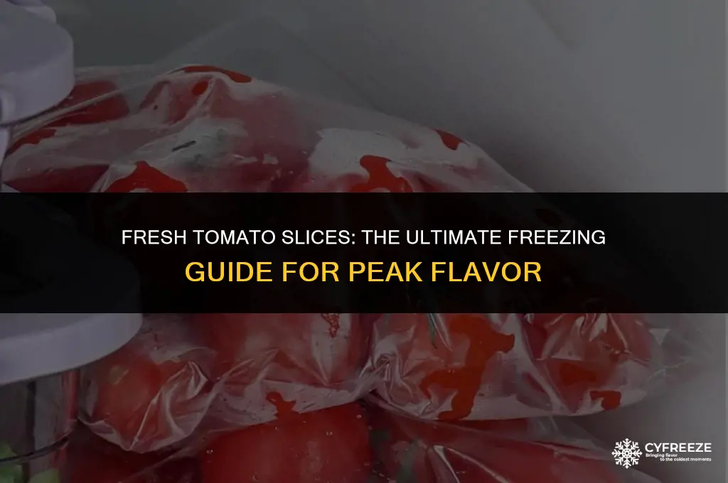 can u freeze fresh tomato slices