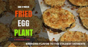 Can You Freeze Fried Eggplant? Tips for Preserving Crispy Goodness